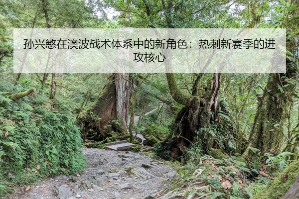 sun-xing-min-zai-ao-bo-zhan-shu-ti-xi-zhong-de-xin-jue-se-re-ci-xin-sai-ji-de-jin-gong-he-xin-2-446.jpg