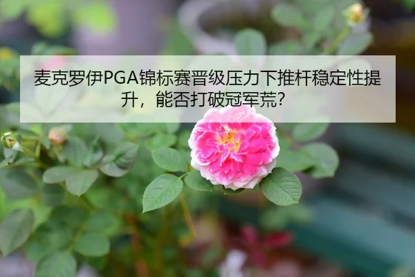 麦克罗伊PGA锦标赛晋级压力下推杆稳定性提升，能否打破冠军荒？